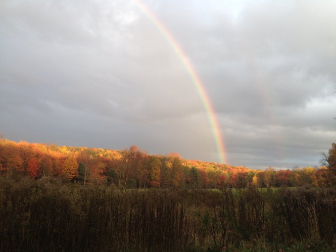 fall rainbow