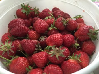 Strawberries - YUM!