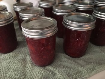 Jars of Jam